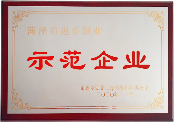 菏澤市返鄉(xiāng)創(chuàng)業(yè)示范企業(yè)